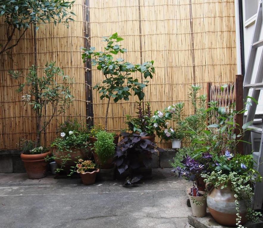 Guesthouse Usagi-Momiji Kyoto Eksteriør bilde