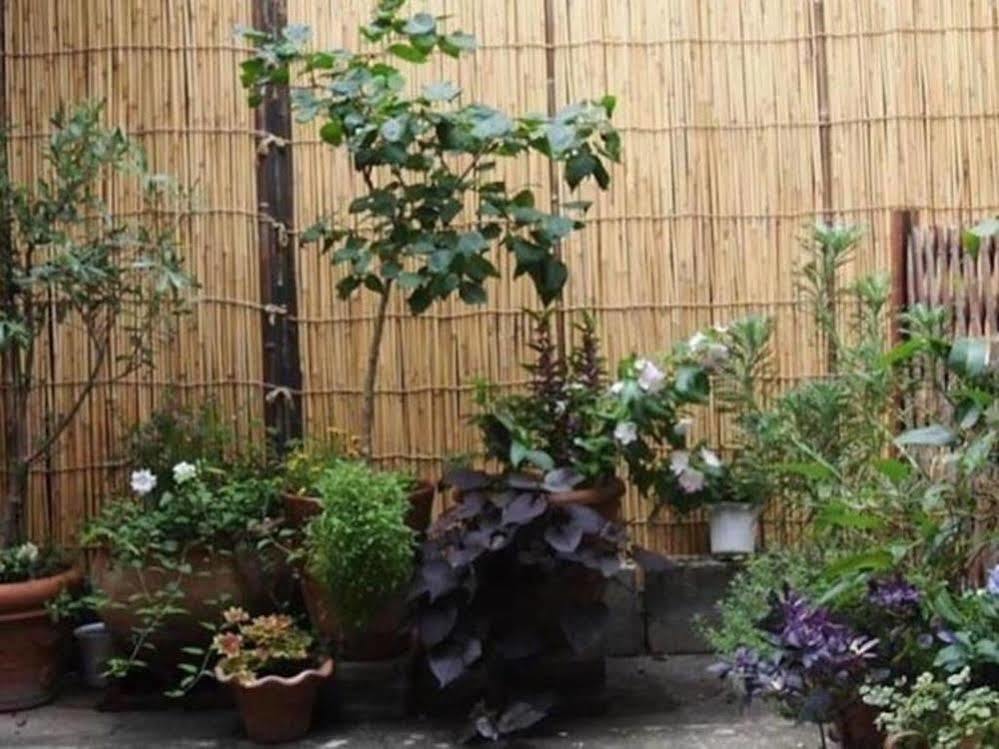 Guesthouse Usagi-Momiji Kyoto Eksteriør bilde
